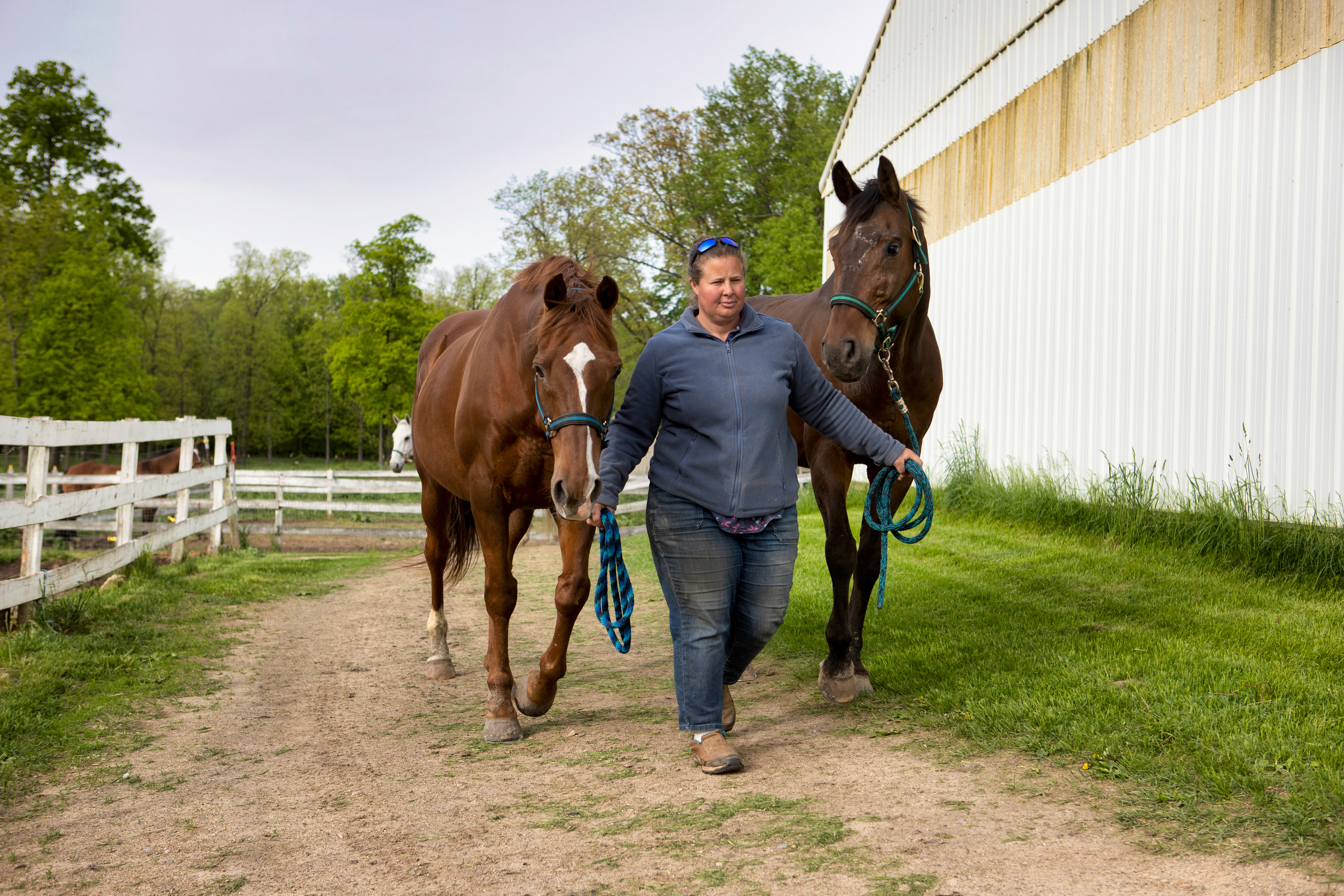 Built for real barn life