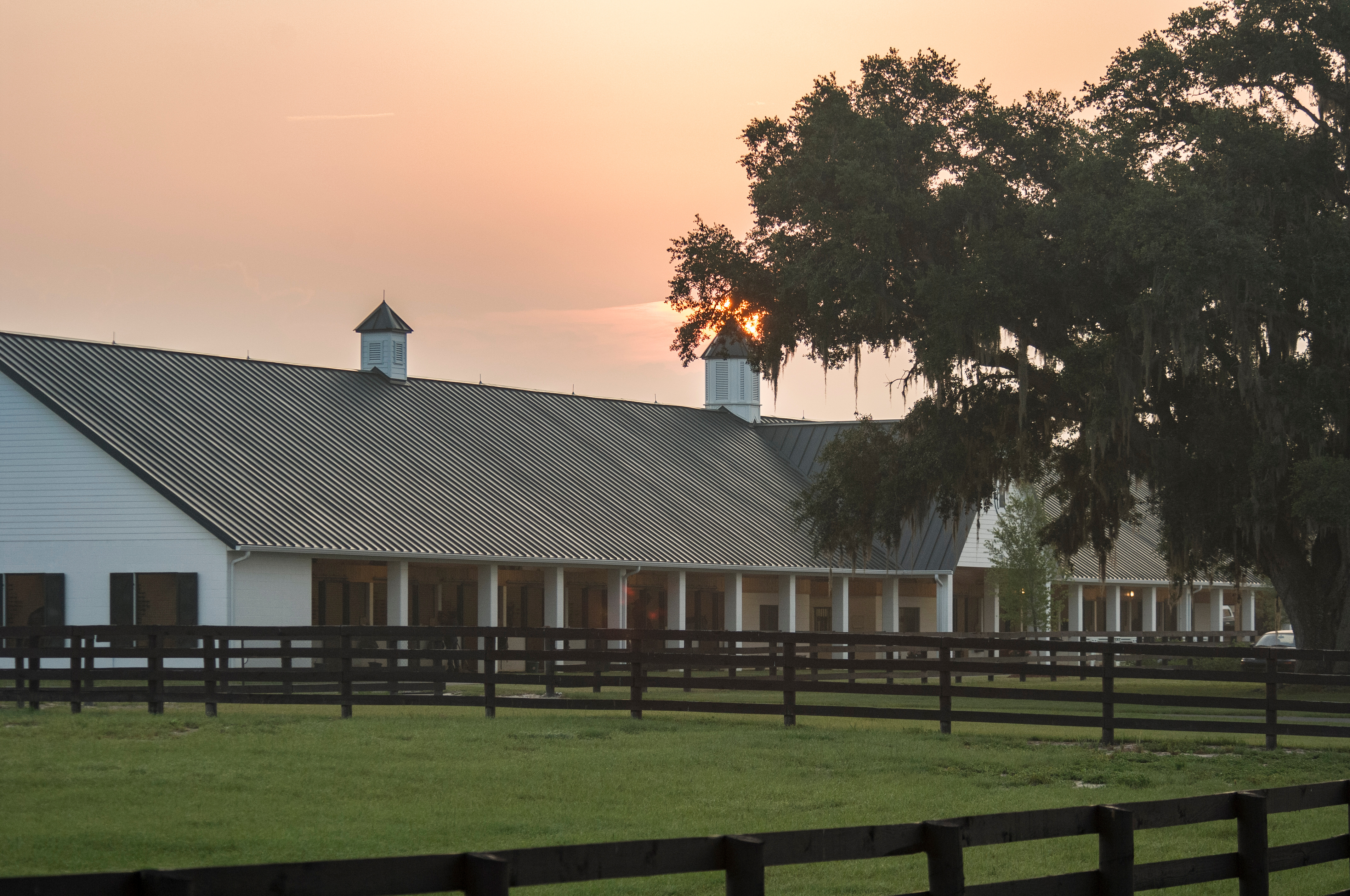 Barn aisle with horses in stalls