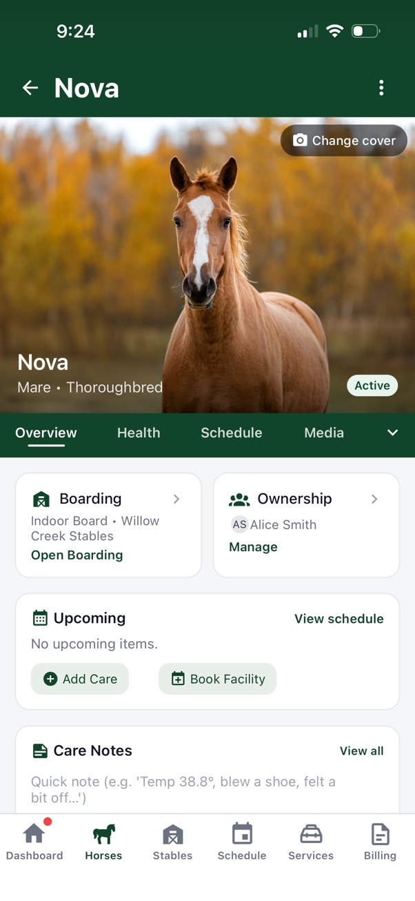 Aurestra horse profile screenshot