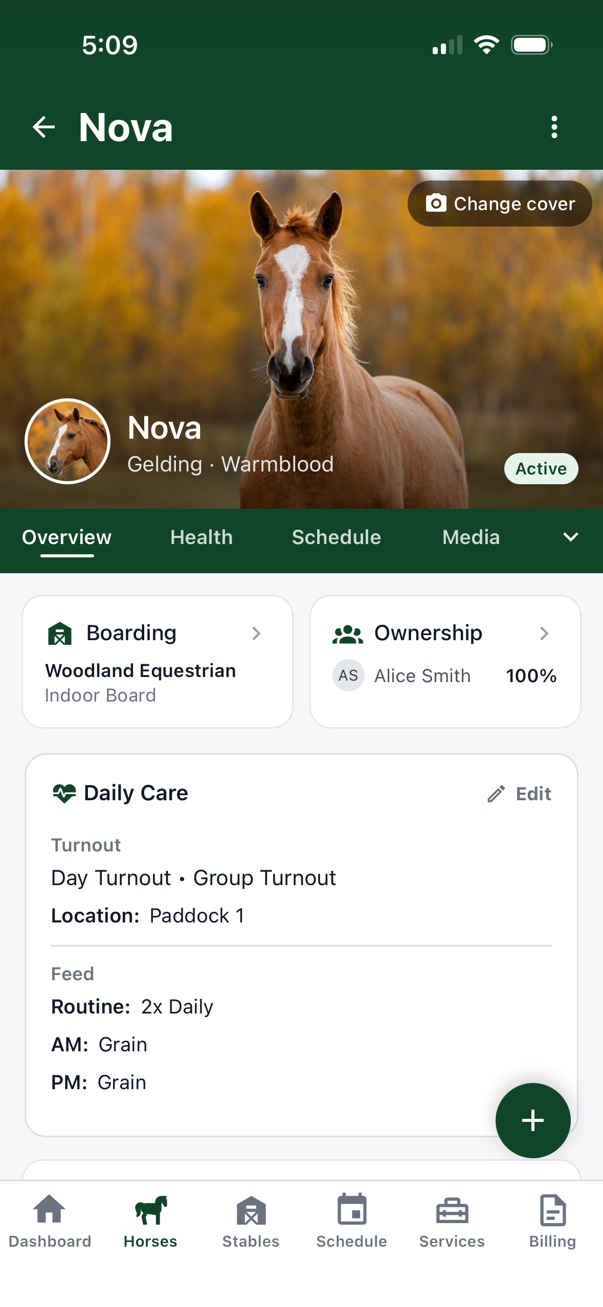 Aurestra horse profile