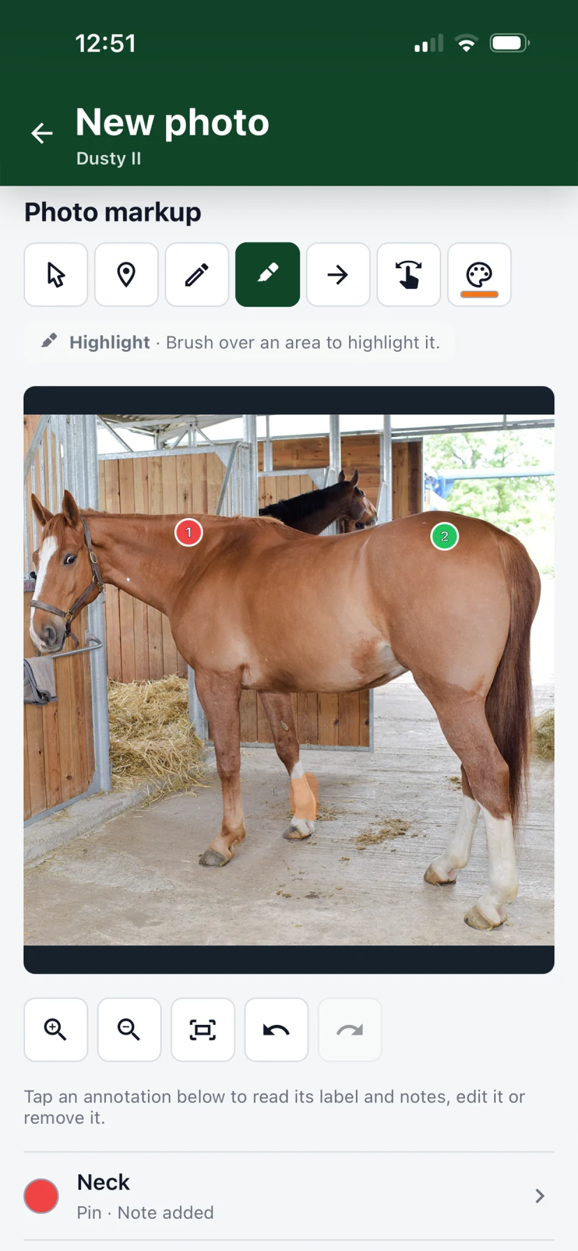 Aurestra photo markup tools on a horse service record